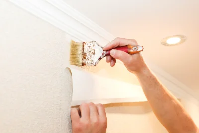 Pose de papier peint à Porcieu-Amblagnieu — revêtements muraux et toiles de verre